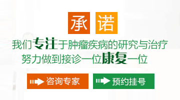 专注于肿瘤疾病百度研究和治疗